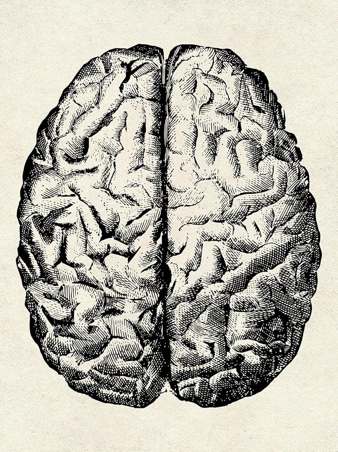 Ohhvvow Human Anatomy Artwork Medical Wall Art Canvas, 12 * 18 Inch Muscle - Image 3