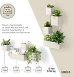 Umbra Cubiko Wall-Mount Planter - Image 7