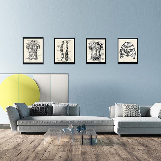 Ohhvvow Human Anatomy Artwork Medical Wall Art Canvas, 12 * 18 Inch Muscle - Image 8