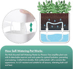 Phoenix Vine 6.5 Inch Wall Mounted Self-Watering Planter Pot - Image 4
