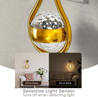Briignite LED Night Lights Plug into Wall, 330° Rotating Night Light - Image 4