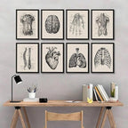 Ohhvvow Human Anatomy Artwork Medical Wall Art Canvas, 8 * 10 Inch Muscle - Image 7