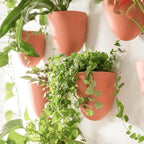Make Good PlantPod Luxe Self-Watering Wall Planters - Image 6