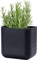 Phoenix Vine 6.5 Inch Wall Mounted Self-Watering Planter Pot by Phoenix+Vine