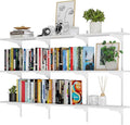 Wallniture Turin 60 inch x 8 in Wall Shelf by Wallniture