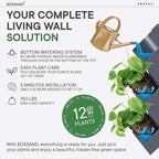 BOXSAND-12 Vertical Wall Planter - Image 6