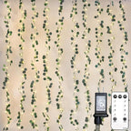 suddus 200 LED Vine with Light Plug in, 6.5ft x 6.5ft Eucalyptus Fairy Curtain by SUDDUS