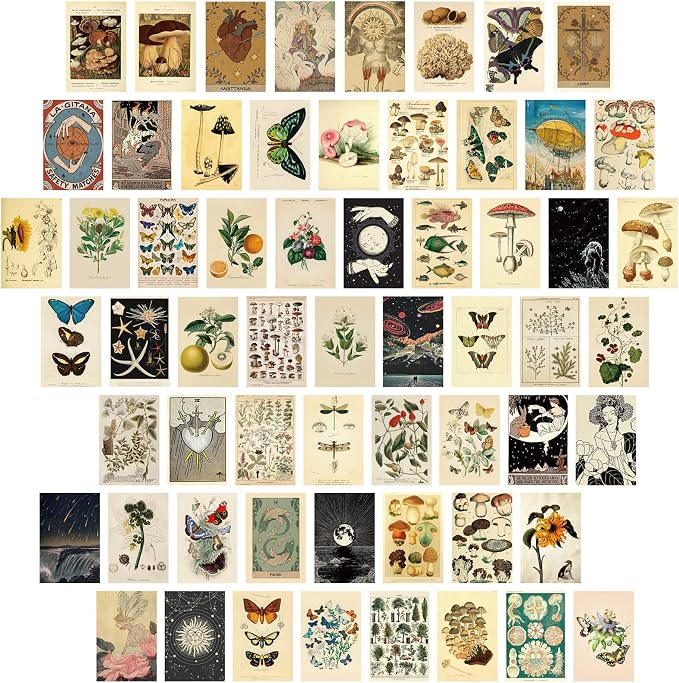 Containlol 60 Pcs Vintage Wall Collage Kit Maximalist Paintings Art Prints by Containlol