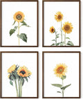 HAUS AND HUES Sunflower Set Collage 16x20 by HausandHuesArtPrints