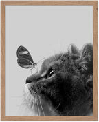 Poster Master Butterfly on Cat Print by PosterMaster