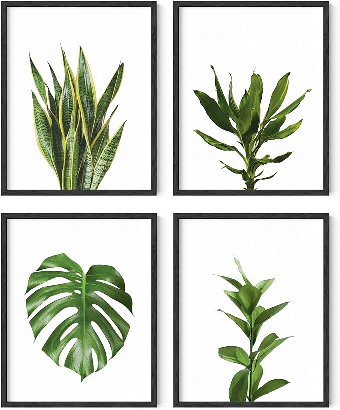 HAUS AND HUES Plant Photo Set of 4-11x14 by HausandHuesArtPrints
