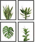 HAUS AND HUES Plant Wall Art by HausandHuesArtPrints