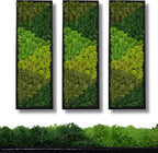 yersiz Large Moss Pattern Wall Art, Real Moss Wall Art - Image 6
