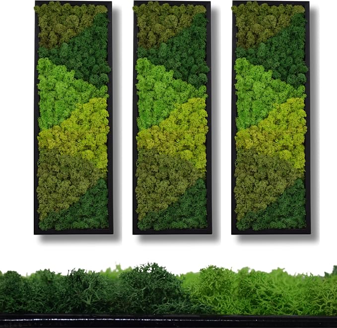 yersiz Large Moss Pattern Wall Art, Real Moss Wall Art - Image 6