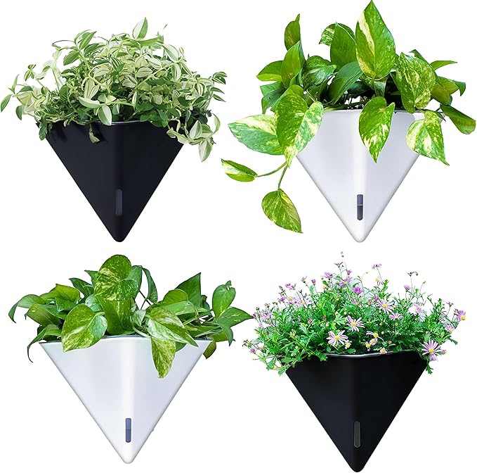 LaLaGreen Wall Planters for Indoor Plants by L%C3%A1L%C3%A1Green