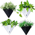 LaLaGreen Wall Planters for Indoor Plants by L%C3%A1L%C3%A1Green