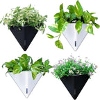LaLaGreen Wall Planters for Indoor Plants by L%C3%A1L%C3%A1Green
