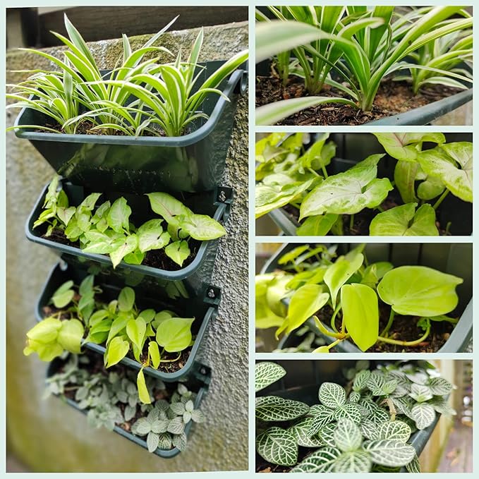 Maxona Vertical Garden Planter - Image 6