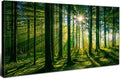 AIYISU Green Forest Canvas Wall Art Sunshine Forest Pictures Wall Decor Nature by HOME
