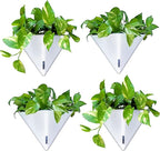 LaLaGreen Wall Planters for Indoor Plants by L%C3%A1L%C3%A1Green