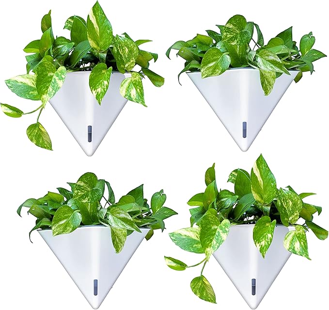 LaLaGreen Wall Planters for Indoor Plants by L%C3%A1L%C3%A1Green