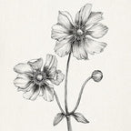 Framed Minimalist Black and White Floral Wall Art, 4 Piece Neutral Rustic - Image 5