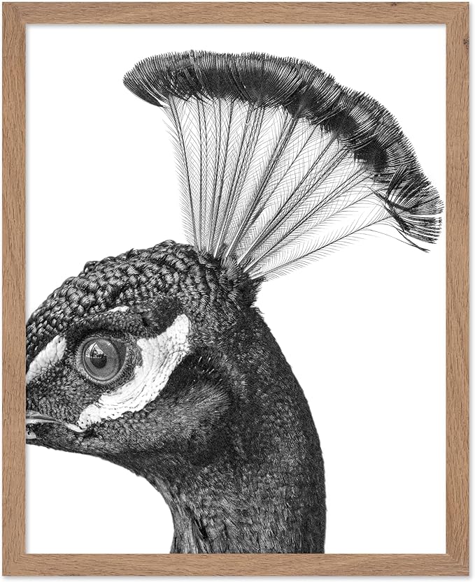 Poster Master Vintage Peacock Poster by PosterMaster
