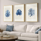 Framed Coastal Coral Watercolor Wall Art by Cuspin