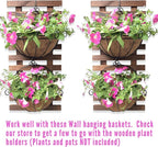 ShopLaLa Wall Planter - Image 4