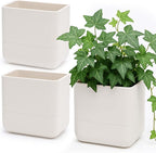 Phoenix Vine 6.5 Inch Wall Mounted Self-Watering Planter Pots by Phoenix+Vine