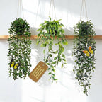 3 Pack Fake Plants with 6 Butterflies by Unknown