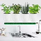 3 Pack Self Watering Wall Hanging Planter Pots Vertical Garden Window Hang - Image 4