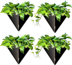 LaLaGreen Wall Planters for Indoor Plants by L%C3%A1L%C3%A1Green