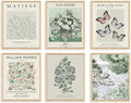 QIAOMICS Sage Green Poster Master Wall Art Print, Matisse Wall Decor Aesthetic by QIAOMICS
