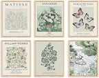 QIAOMICS Sage Green Poster Master Wall Art Print, Matisse Wall Decor Aesthetic by QIAOMICS