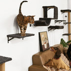 FUKUMARU Cat Wall Shelves, Stable & Safe 5 in 1 Cat Walls Furniture Set - Image 4