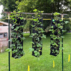 New Upgraded Deeper and Bigger 7 Pocket Hanging Vertical Garden Wall Planter - Image 6