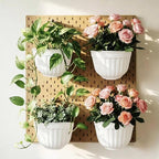 6 Pcs Plastic Large Wall Plant Pots Vertical Garden Living Wall Mounted Window - Image 4