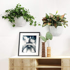 5 Pack Resin Wall Hanging Planter Pot Vertical Garden Living Wall Mount Window - Image 4