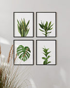 HAUS AND HUES Plant Wall Art - Image 5