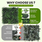 KASZOO Artificial Grass Wall Panel - Image 3