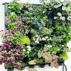 36 Pockets Living Wall Planter Indoor, Self Watering Wall Hanging Planters - Image 3