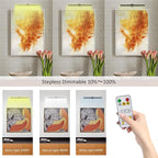 MIOBLUE LED Picture Lights - Image 5