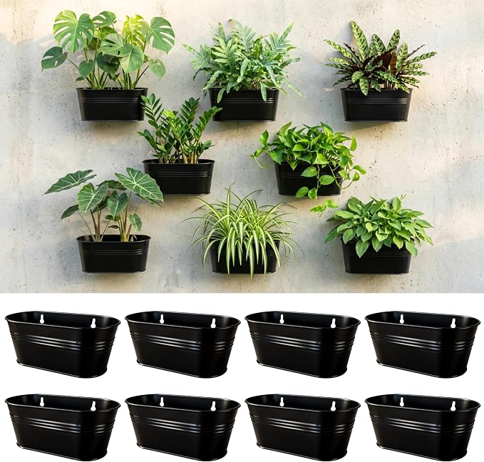 LaLaGreen Wall Planter Black Oval Metal Hanging Decor Plant Holder Indoor Wall by L%C3%A1L%C3%A1Green