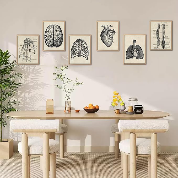 Ohhvvow Human Anatomy Artwork Medical Wall Art Canvas, 8 * 10 Inch Muscle - Image 9