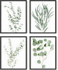 HAUS AND HUES Botanical Plant Wall Art Prints by HausandHuesArtPrints