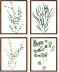 HAUS AND HUES Botanical Plant Wall Art Prints by HausandHuesArtPrints