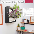 Wall Garden 4 Vertical Wall Planter, 4 Pots Wood Frame Self Watering Living - Image 4