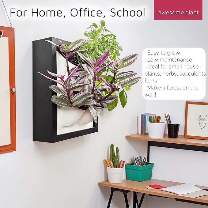 Wall Garden 4 Vertical Wall Planter, 4 Pots Wood Frame Self Watering Living - Image 4