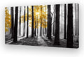 Cao Gen Decor Art S06375 Wall Art Canvas Painting Yellow Tree in Black and by Cao+Gen+Decor+Art